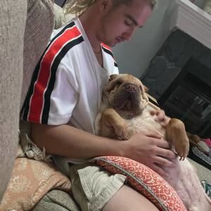 Meet your Posher, Christopher